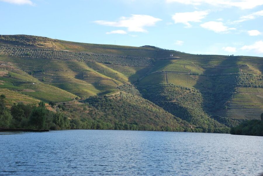 Pinhão: Rabelo Boat 1-Hour Tour - The upstream loop: Bomfim, Roeda, and what the terraces teach you