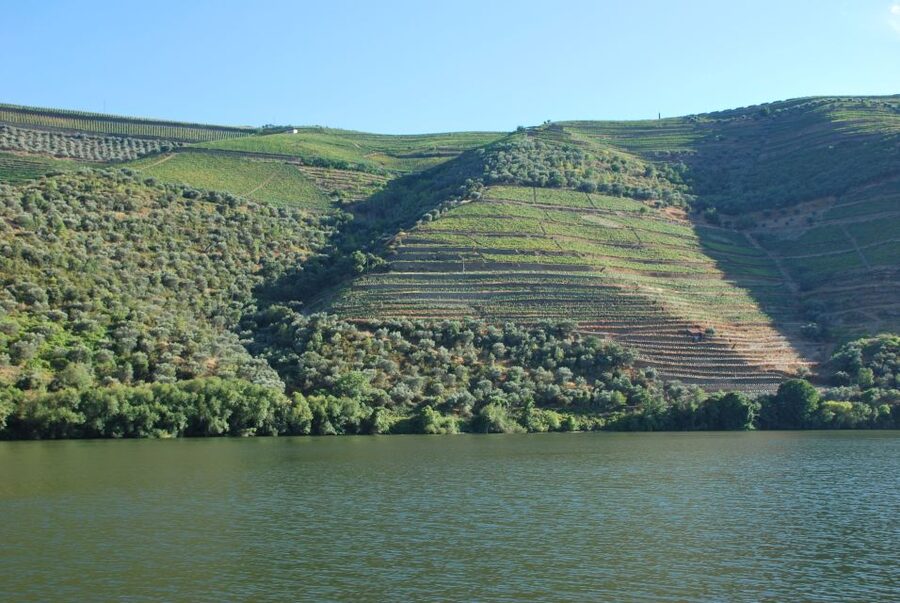 Pinhão: Rabelo Boat 1-Hour Tour - The Magnifico Douro Boat Tour app and the real audio experience