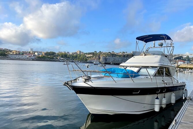Port : 6 Bridges Cruise With Sunset option & Port wine - Douro River nature reserve stretch: the calm middle part