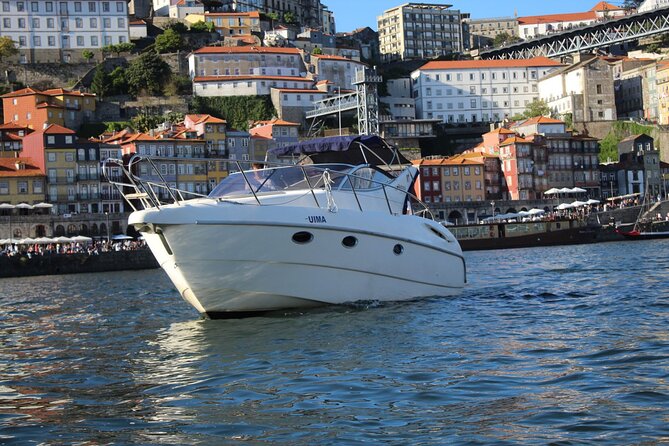 Port : 6 Bridges Private Yacht Cruise with Local Wine & Snacks - Ponte da Arrábida: Edgar Cardoso’s Landmark From the Water