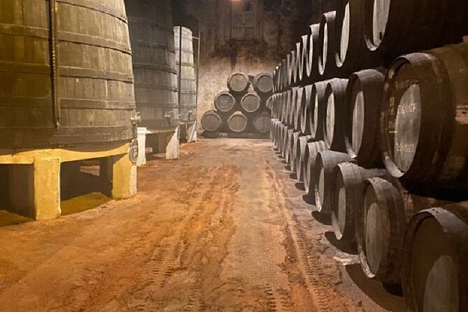 Port and Douro Wine Private Tasting and Pairing with a Sommelière - Gaia Port cellar: three tastings built on contrast and balance