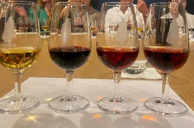 Port and Douro Wine Private Tasting and Pairing with a Sommelière - Practical details that will make your day smoother