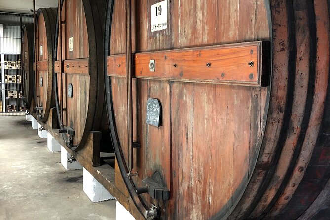 Port Cellar Visit & Tasting 4 Port Wines - Who Should Book This Port Visit (And Who Might Skip It)