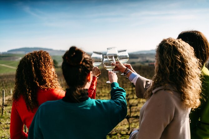 Port : Douro Valley Tour with 2 Wineries, Lunch and Cruise - Key highlights at a glance