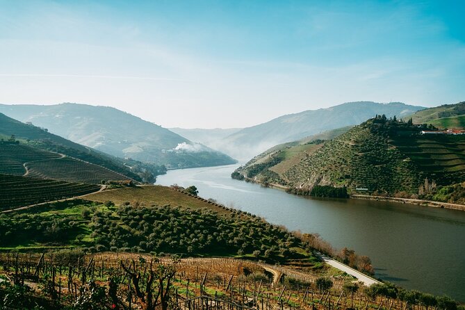 Port : Douro Valley Tour with 2 Wineries, Lunch and Cruise - Peso da Régua boat cruise: two hours to slow down on the river