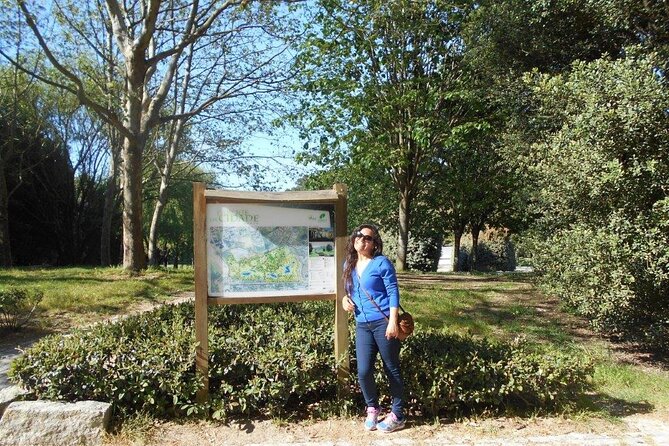 Port Walking Tour ( 6 pax maximum) - 4 hours - Avenida dos Aliados to the Ribeira approach, a great downhill transition