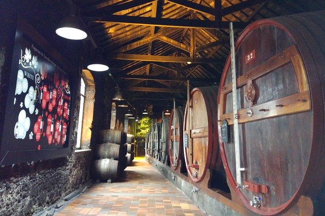 Port Wine Lodges Tour Including 7 Port Wine Tastings (English) - Value Check: Is $62.88 for 7 Tastings a Good Deal?