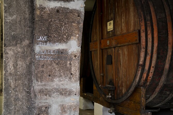 Port Wine Tour | 3 Cellars | 7 Tastings | 12 Participants Maximum - The Guide Makes It: Nuno, David, and the Art of Explaining Port