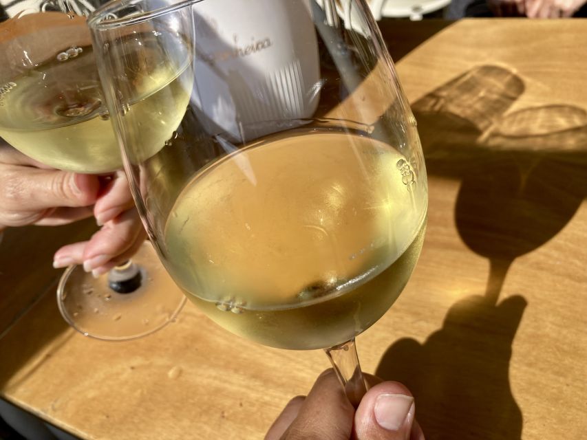Port wine & wine walking tour with culture - max 8 pax - Guided river views and a quieter Porto rhythm