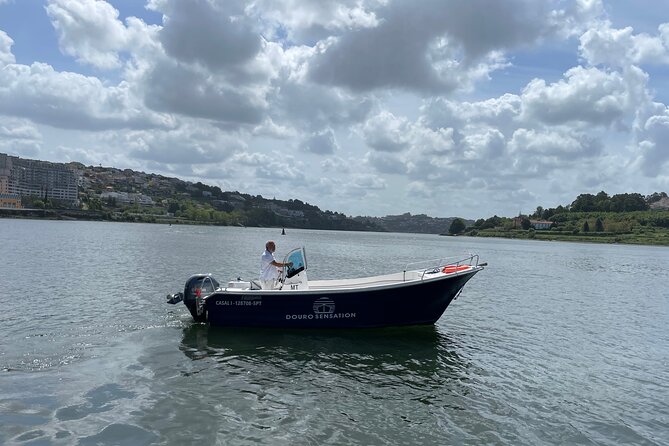Porto: 2h Private Tour (1 to 6 people) on the Douro River with a local - Timing your cruise: why the sunset slot can feel special