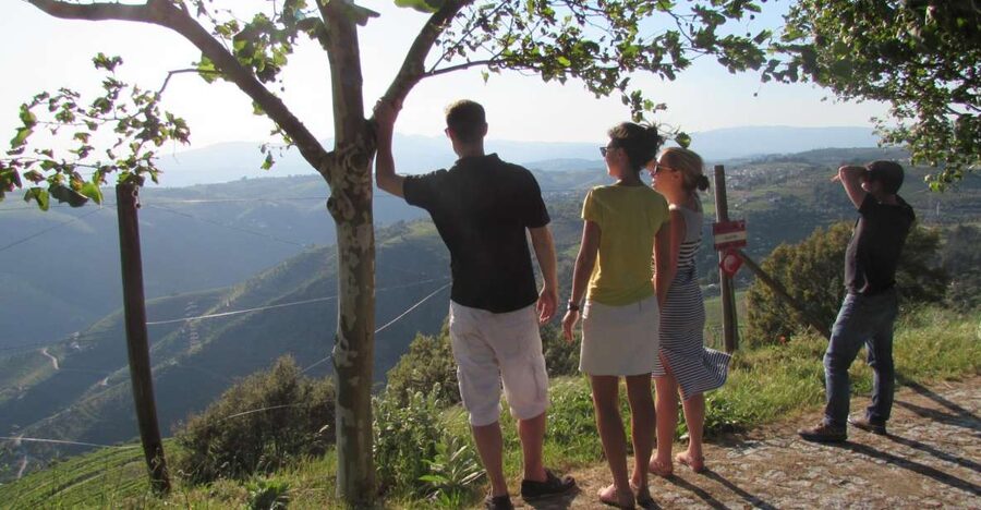 Porto: 3 Douro Valley Vineyards Tour with Lunch - Key Highlights You Should Care About