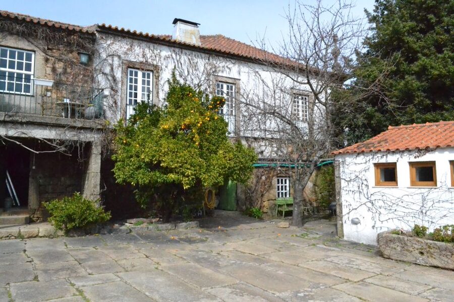 Porto: 3 Douro Valley Vineyards Tour with Lunch - First Winery Stop: Guided Tastings in the Sabrosa Area