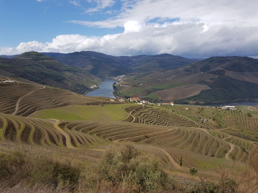Porto: 3 Douro Valley Vineyards Tour with Lunch - Third Winery Stop: Port Focus and Big Views at the End
