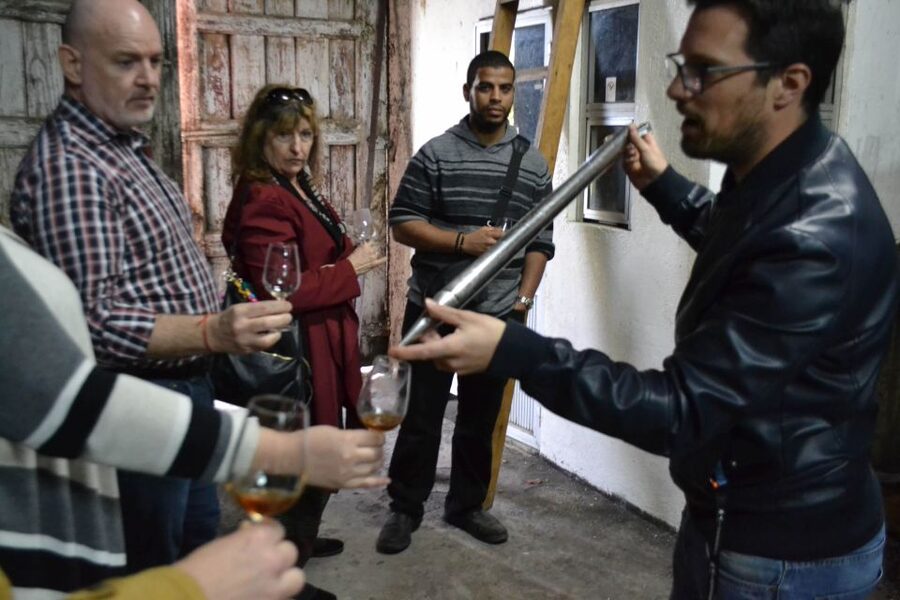 Porto: 3 Douro Valley Vineyards Tour with Lunch - The Winery Styles: Why Three Stops Is Better Than One