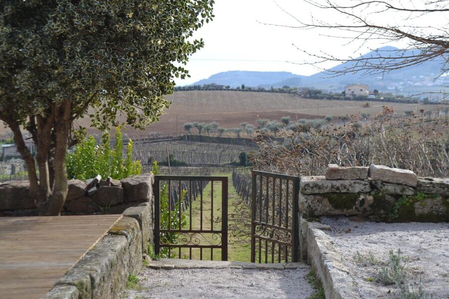 Porto: 3 Douro Valley Vineyards Tour with Lunch - Guides, Vans, and Group Pace: What You Gain and What to Watch
