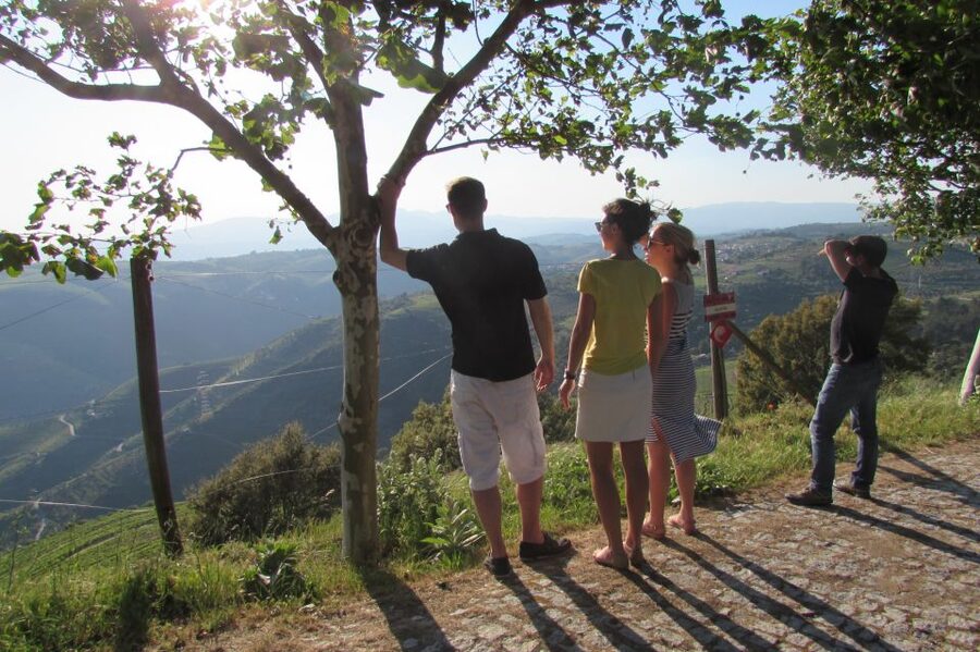 Porto: 3 Douro Valley Vineyards Tour with Lunch - Coffee, Roads, and Route Views: How Highway 222 Shapes the Day