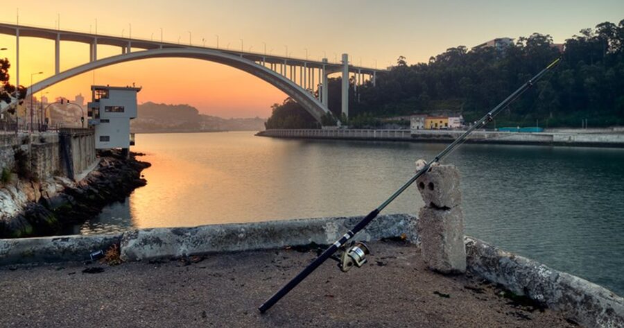 Porto: 3-Hour Bike Tour - Cheddar-and-Coast vibes: Castelo Do Queijo and the Matosinhos shoreline