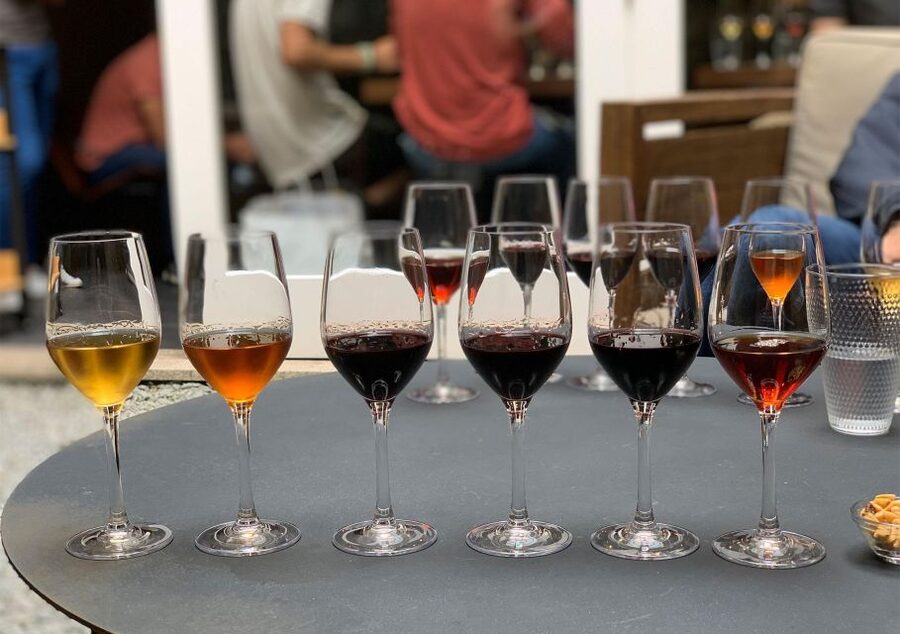 Porto: 3 or 5 Port Wine Tasting with Pairings - Practical tips so you enjoy it and not rush it