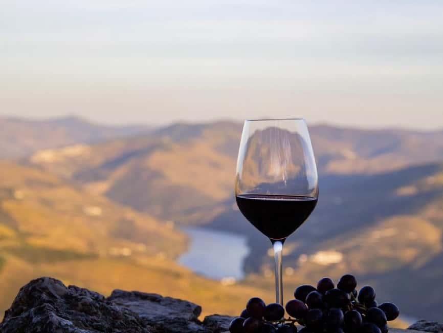 Porto: 3 Wine Regions & Farm Lunch with Views Small-Group - Who should book this Douro Valley wine and farm lunch tour
