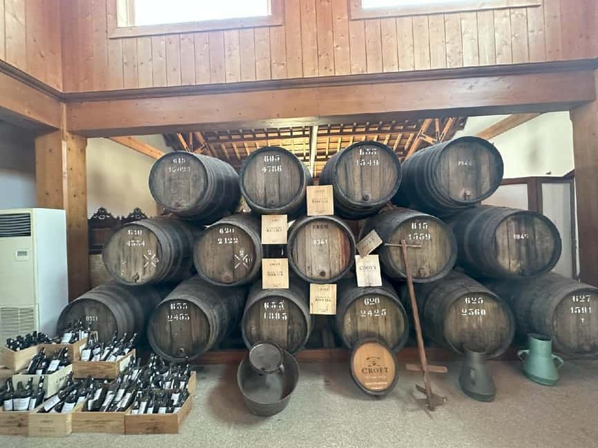Porto: 3 Wine Regions & Farm Lunch with Views Small-Group - Why the small-group van makes the Douro day better