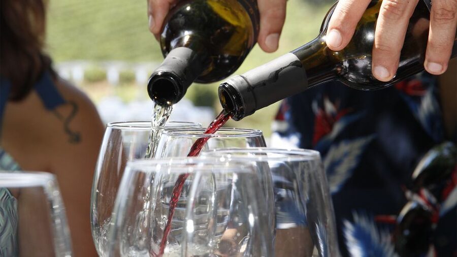Porto: 3 Wine Regions & Farm Lunch with Views Small-Group - Scenic photo stops that actually help you understand the wine