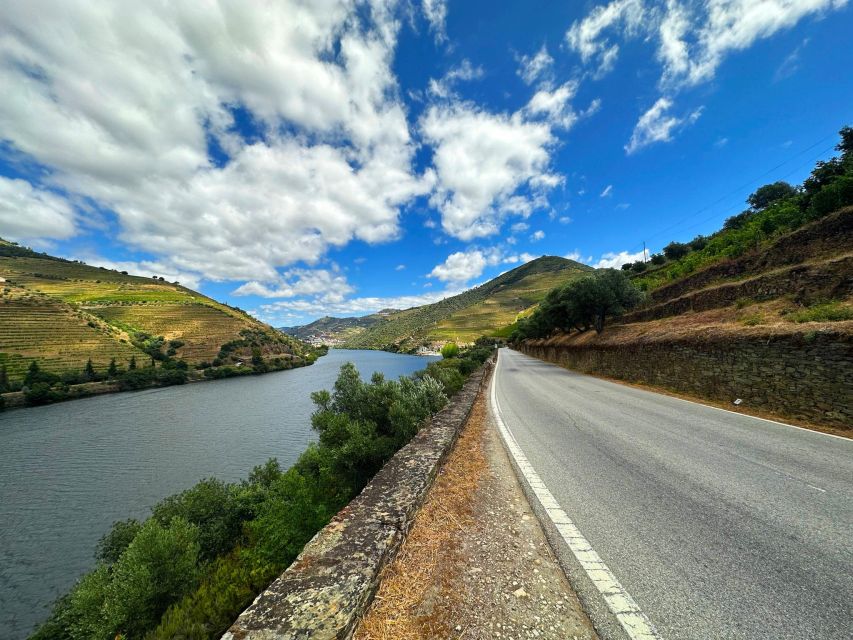 Porto: 3 Wine Regions & Farm Lunch with Views Small-Group - Estate visits: the DOC Douro and Port tastings that set the tone