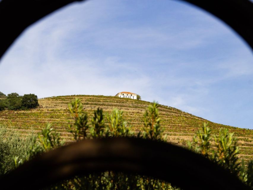 Porto: 3 Wine Regions & Farm Lunch with Views Small-Group - Lunch in Sabrosa: regional food, wine, and vineyard views