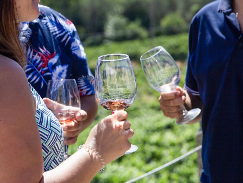 Porto: 3 Wine Regions & Farm Lunch with Views Small-Group - Farm-style tastings with Port wine, olive oil, and honey