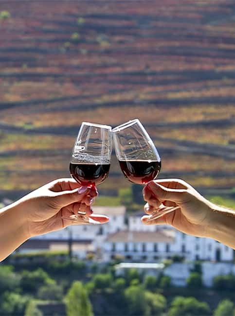 Porto: 3 Wine Regions & Farm Lunch with Views Small-Group - Timing, walking, and comfort: how to make the day effortless