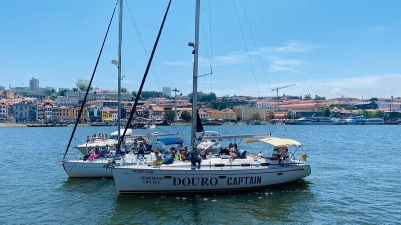 Porto 4H: Charming cruise, wine tasting, and vintage van tour - Wine tasting, snacks, and whether it is good value