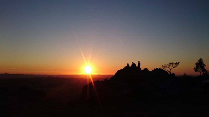 Porto: 4x4 Mountain Tour - The Serras do Porto Natural Park game drive: what you should expect