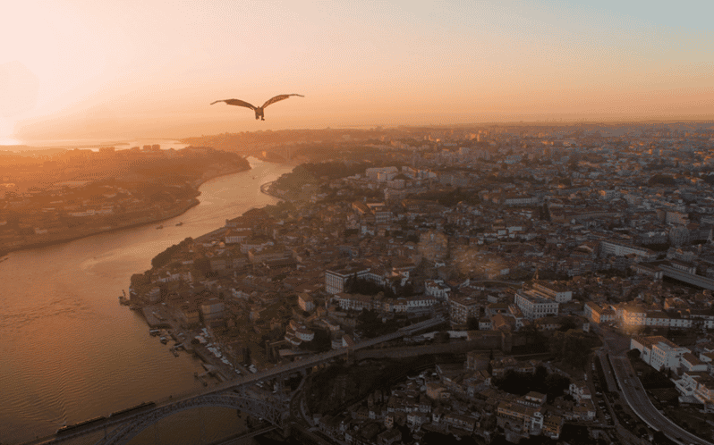 Porto: 5D Flight over de City for all family. - Where Rua Sá da Bandeira puts you, walkable and central