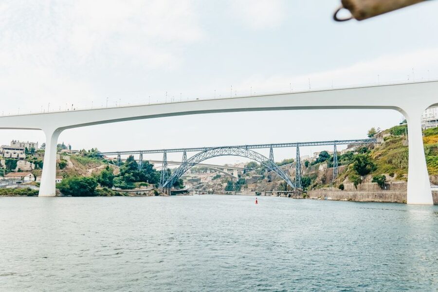Porto: 6 Bridges Douro River Cruise - Who this cruise is perfect for, and who should skip it