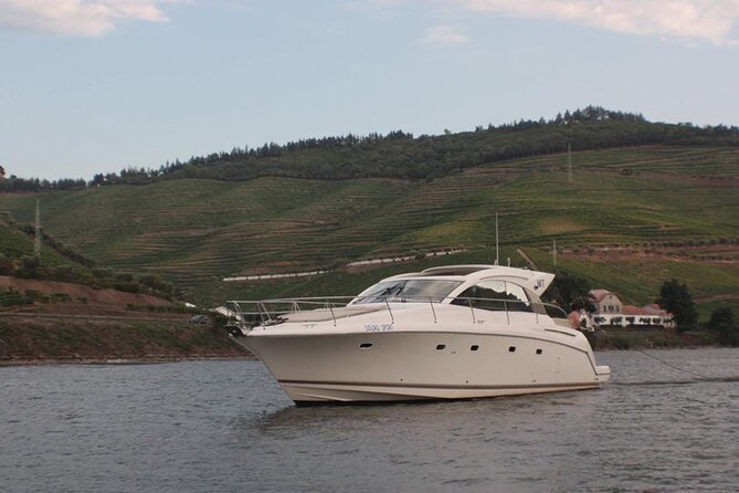 Porto and Douro: Private tour in Yacht - Who This Tour Fits Best (and Who Might Want Something Else)