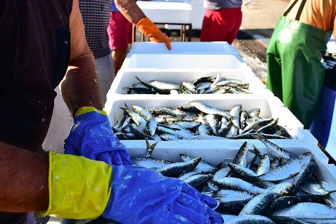 Porto and Matosinhos: Sardine Production - Small Group Tour - Key things to know before you go