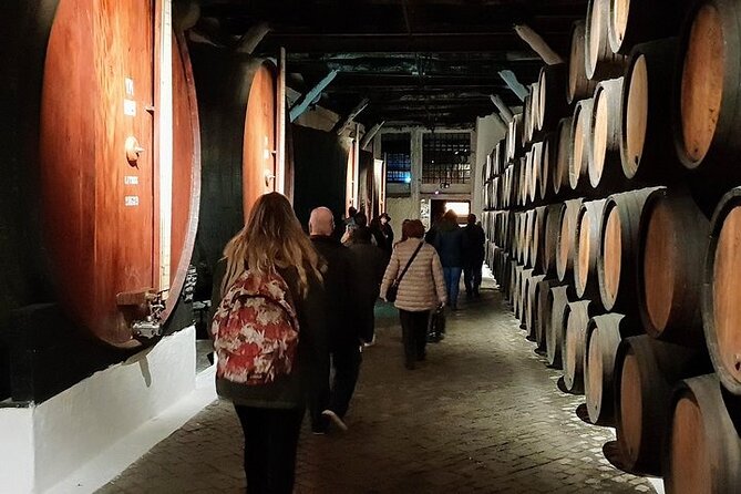 Porto and Matosinhos: Sardine Production - Small Group Tour - Port wine cellar time: tastings plus guidance (and a sweet finish)