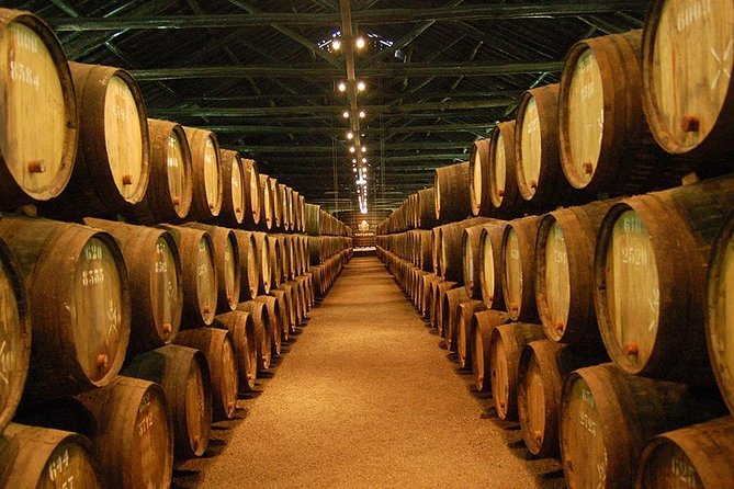 Porto Best-Of Private Tour – A Customizable Experience - Atlantic Coast Viewpoints and Photo Stops Between Old Porto and the Modern District