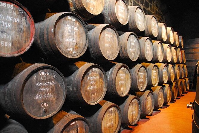 Porto: Cálem Cellar Tour, Live Fado Show and Wine Tasting - Key highlights you should care about