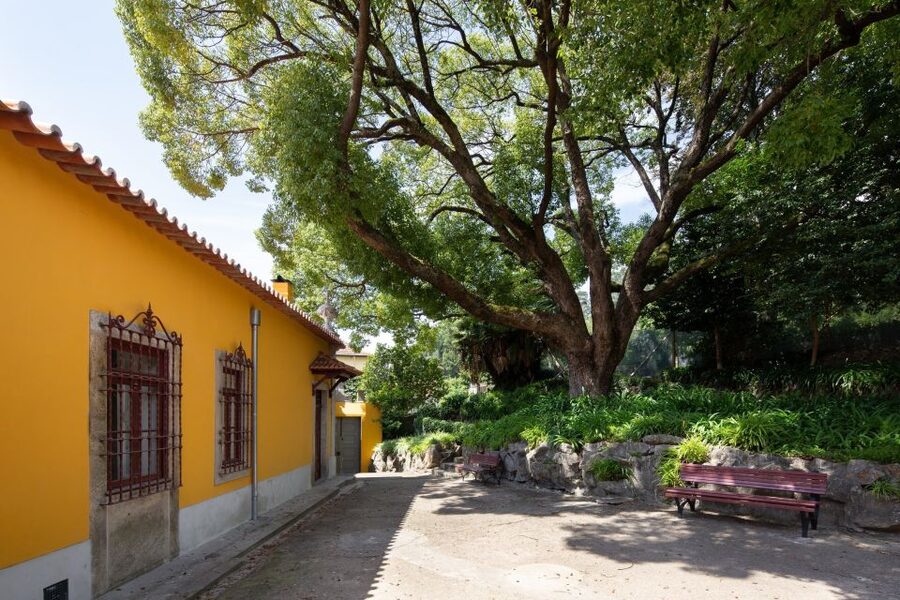 Porto: Casa São Roque Direct Entry Ticket - The São Roque Park garden loop: camellias, grotto, gazebo, arbor, and maze