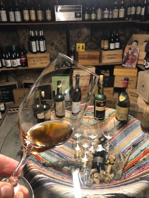 Porto: Cheese and Port Wine Tasting in a Unique Place - Key highlights I think you will care about