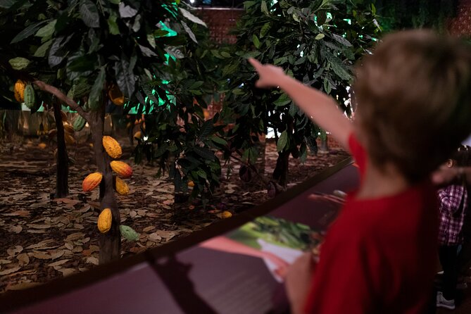 Porto: Chocolate Museum - Chocolate’s Delicious Journey + Tasting - Inside The Chocolate Experience: what you’ll actually do