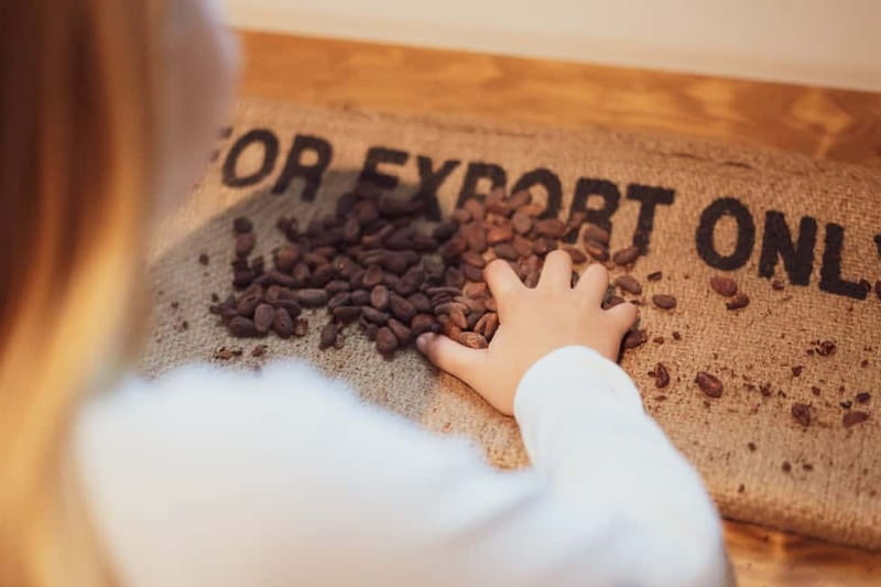 Porto: Chocolate Museum - Unwrap the Secrets of Chocolate - Porto Chocolate Museum basics, what $23 buys you