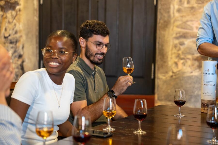 Porto City Full Day Minibus Tour, Wine Tasting & Six Brigdes - Key highlights worth planning for