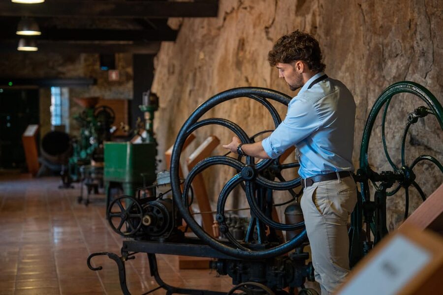 Porto City Full Day Minibus Tour, Wine Tasting & Six Brigdes - The move to Vila Nova de Gaia: Port wine tasting with production context