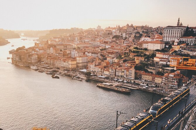 Porto City Full Day Private Tour - A private guide who makes Porto click