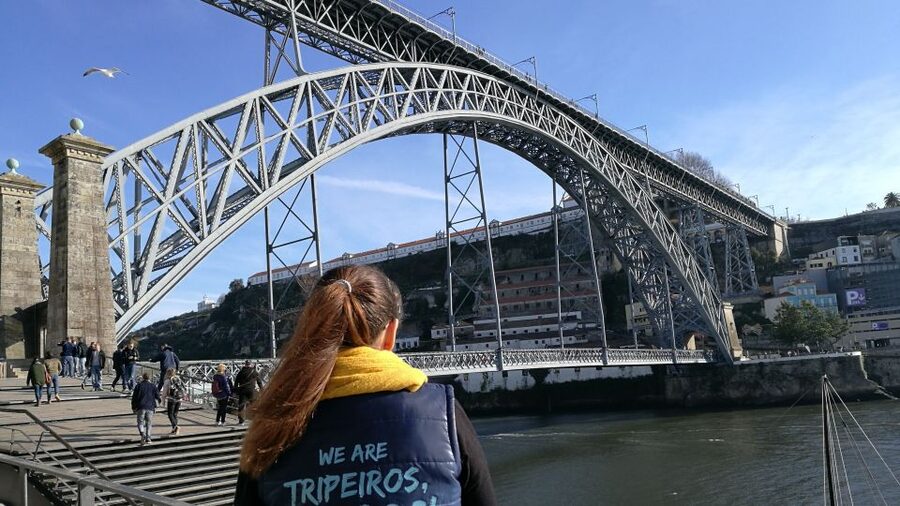 Porto: City Highlights Guided Segway Tour - Segway training in Porto: the fast path to confidence