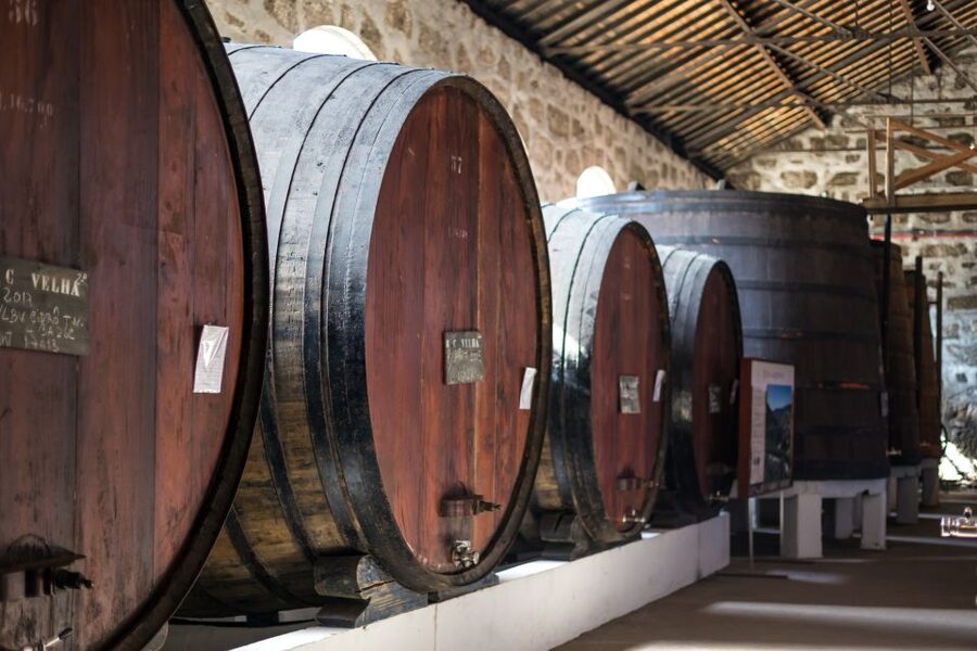 Porto: City Train Tour, River Cruise & Wine Cellar - Price and Value: What You’re Really Paying For