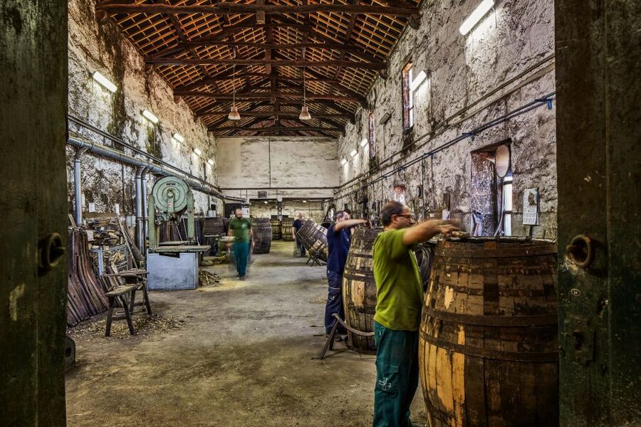 Porto: Cockburn’s Port Lodge Tour and Tasting - Seeing Coopers at Work: Why Monday to Friday Changes the Tour