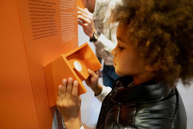 Porto: Cork Museum - Interactive and Family Friendly Museum - Audio guide and on-site help: how to make it feel personal