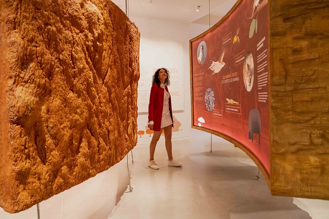 Porto: Cork Museum - Interactive and Family Friendly Museum - The giant cork oak and its ecosystem: the hands-on part kids remember